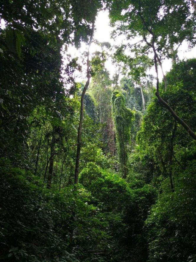阿斯报：西甲欧冠夺冠难度大，巴萨将国王杯视为本赛季最低目标